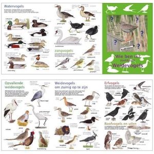 Wie ben ik? Weidevogels