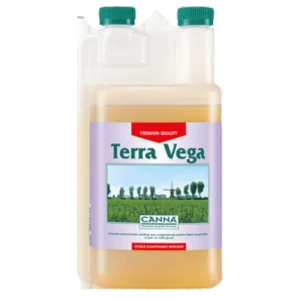 Canna Terra Vega