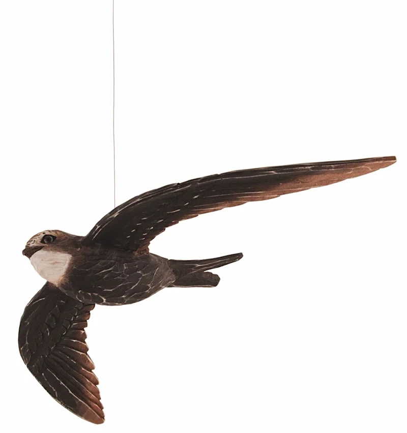 Decobird Gierzwaluw (422) - Afbeelding 2