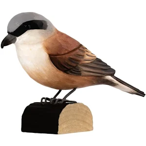Decobird  Grauwe Klauwier (4447)