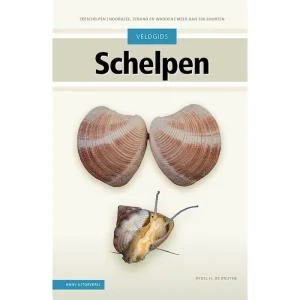 Veldgids Schelpen